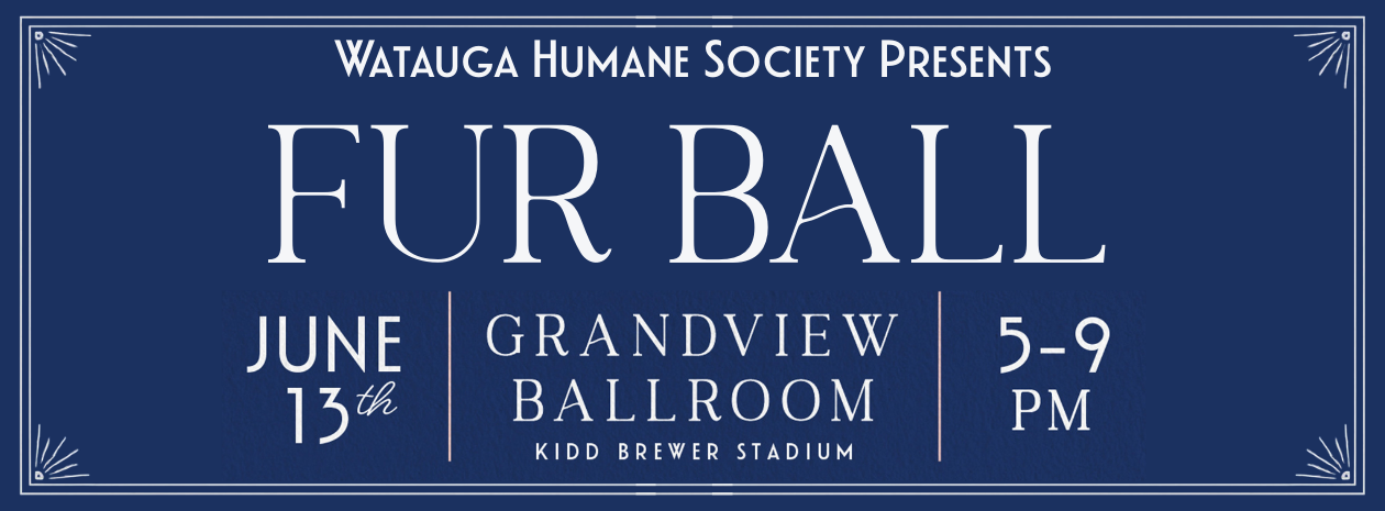 Fur Ball 2026 Fundraiser